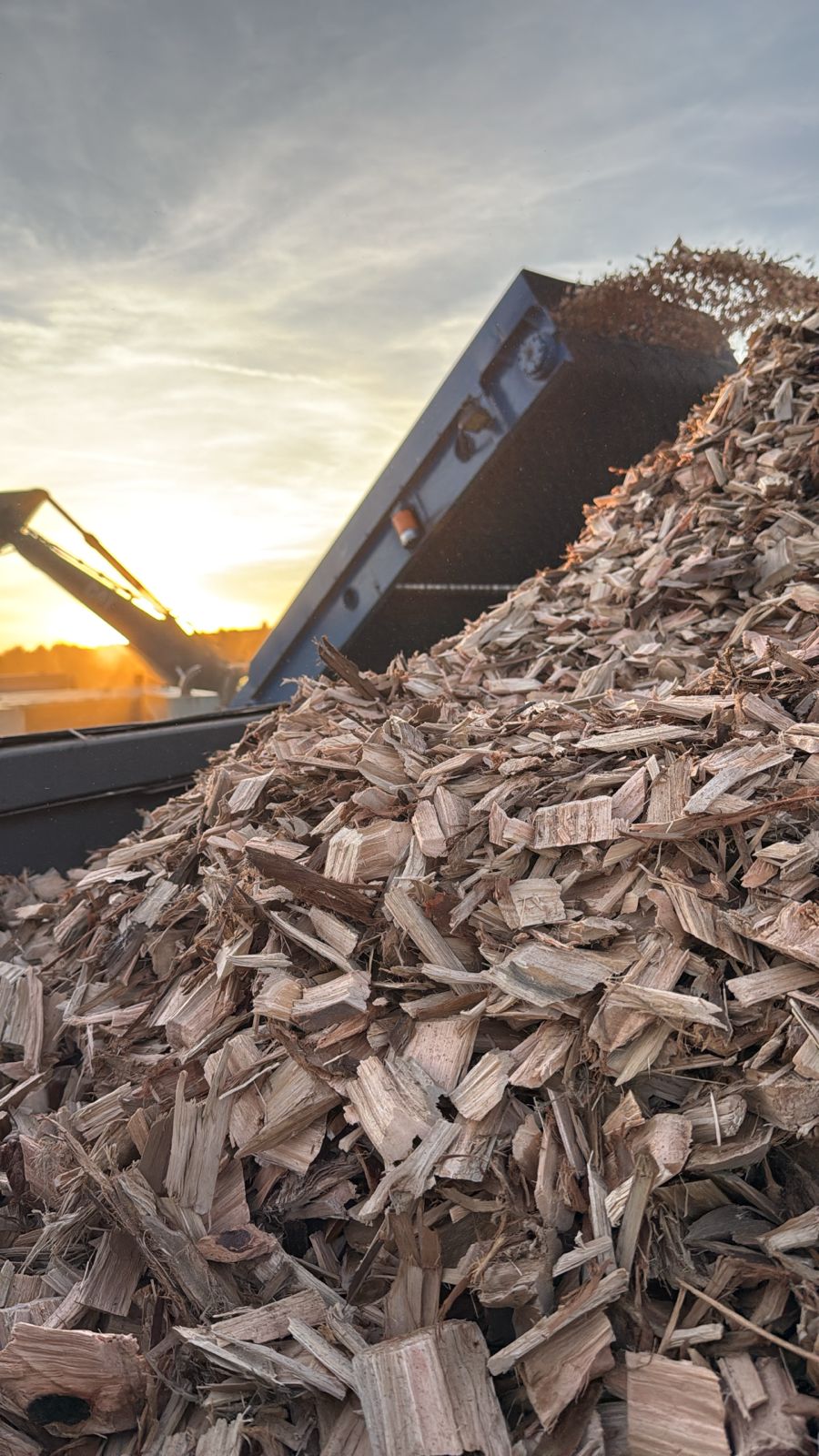 Produção e classificação de cavaco de eucalipto — Operação de picagem · MG e SP